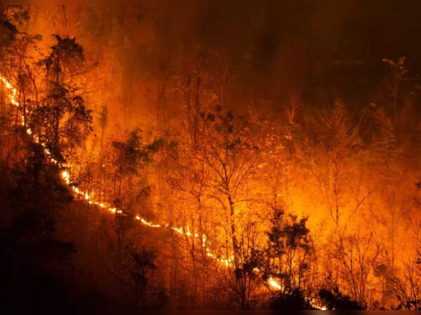 Uttarakhand: Forest fire in Nainital; Naini Lake boating halted