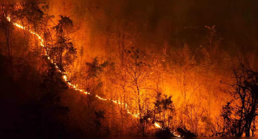 Uttarakhand: Forest fire in Nainital; Naini Lake boating halted