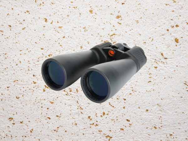 Best Binoculars (2024): Nikon, Celestron, Swarovski, Zeiss