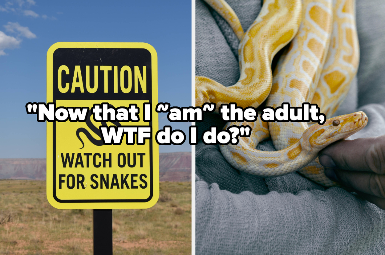 Now That We’re ‘Adults’, Apparently This Is How You Deal With A Snake Encounter