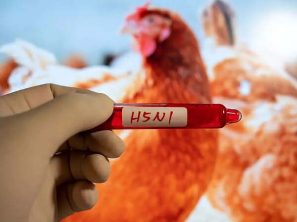 Health Ministry monitoring bird flu cases, ‘situation under control’