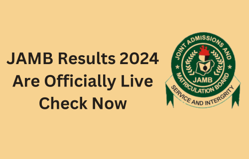 The Best Ways To View Your UTME Scores For 2024