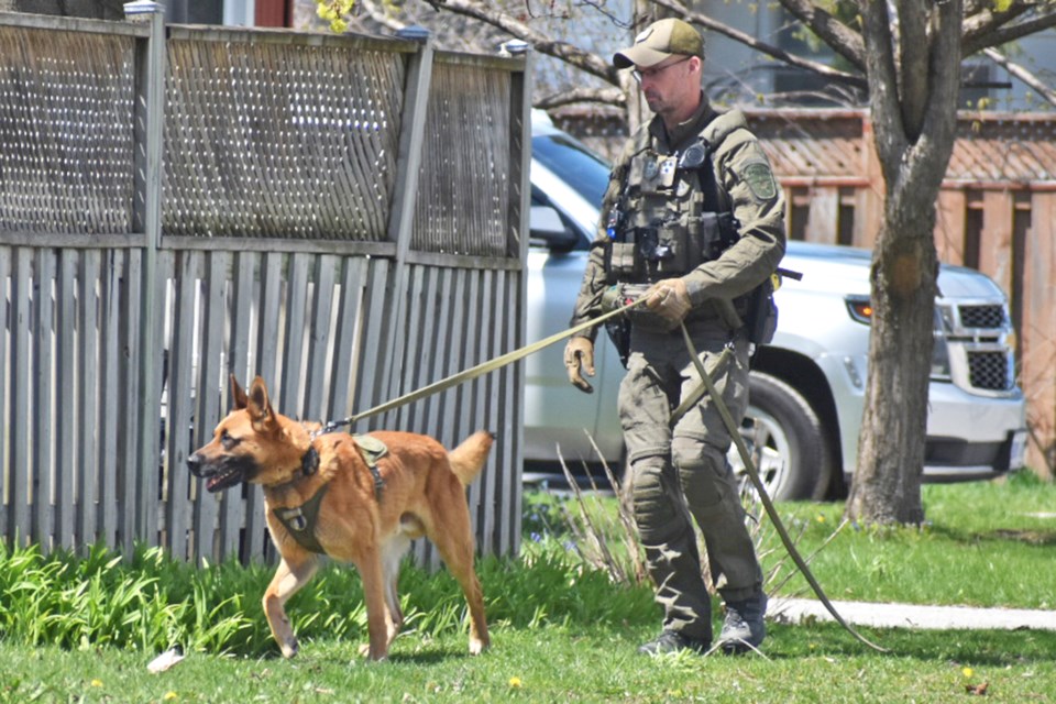 Barrie police caution public after arrests near downtown