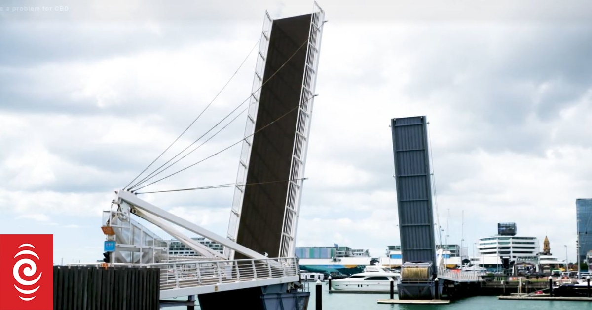 Auckland’s Wynyard bridge closure: ‘These are peoples’ livelihoods at risk’