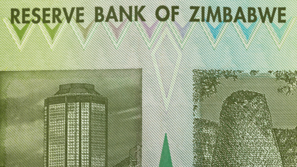 Cathy Buckle: What’s in a name? Zimbabwe’s ZiG currency chaos