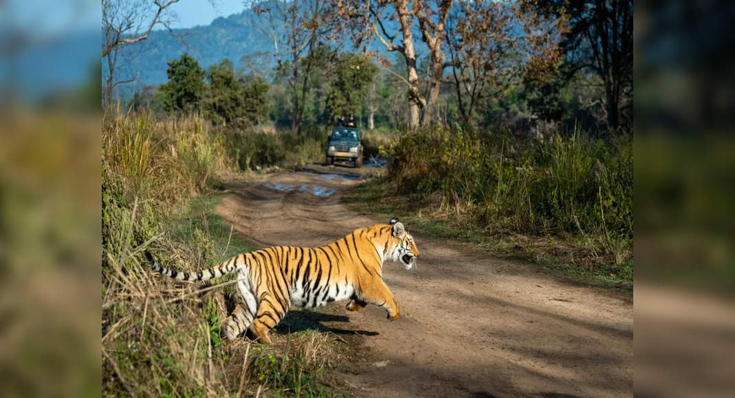 Kota Tourist Zone, Corbett’s new zone, is now open to the public