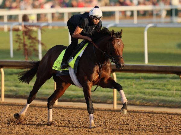 Betting on the Kentucky Derby? Here’s how to think like a professional handicapper.