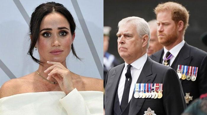 â€˜Grieving’ Meghan Markle wants Prince Andrew to be â€˜ostracised’