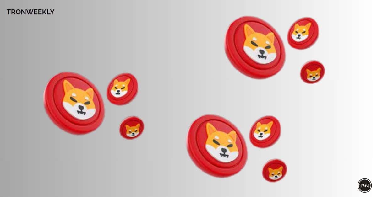 Shiba Inu’s (SHIB) Bullish Flag Pattern Confirmed: Analyst Predicts 100-120% Price Surge