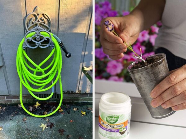 25 Gardening Products That Have Rave Reviews For A Reason