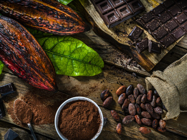 Hershey warns ‘sustained high prices’ of cocoa will drive inflation in 2025, but will not affect fiscal 2024