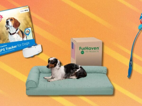 Amazon’s Pet Day deals are here with big savings on essentials for furry family members