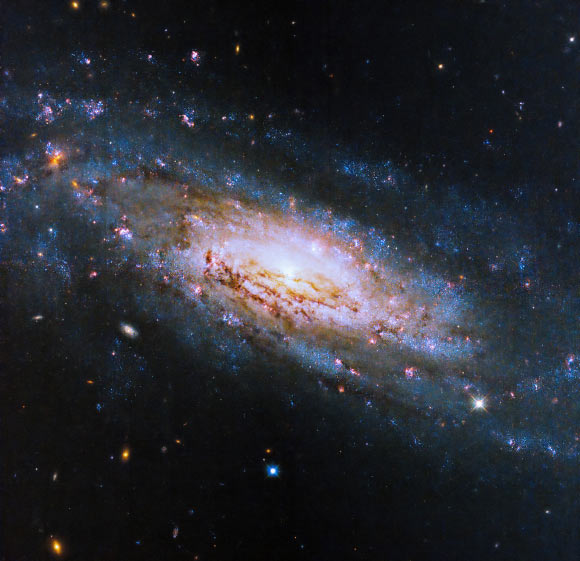 NGC 4951: Hubble Space Telescope Captures Active Seyfert Galaxy