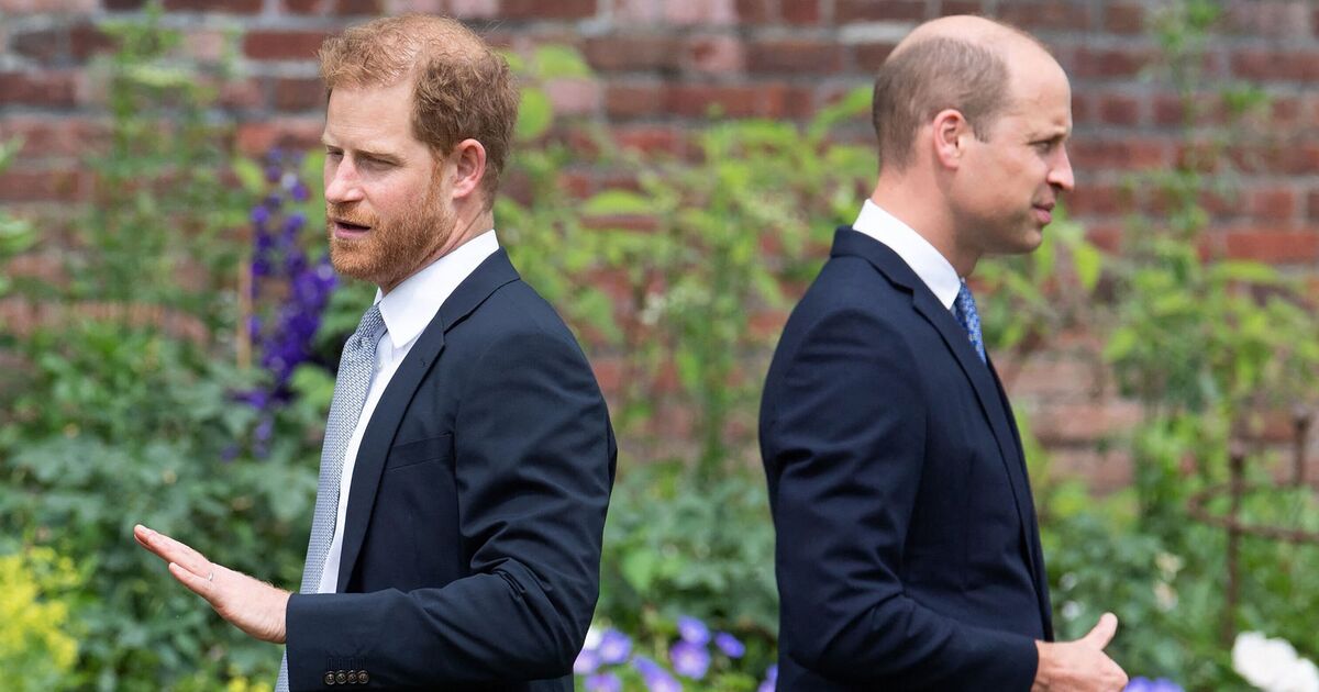 Prince Harry’s ‘isolation’ laid bare as he’s ‘snubbed’ by King Charles and Prince William