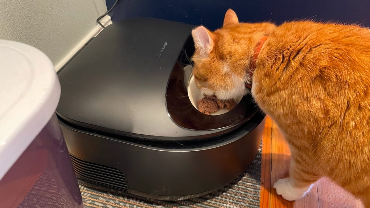 The best automatic pet feeders of 2024