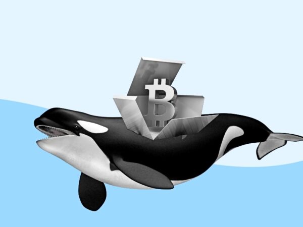 Whales Jump in to Accumulate Bitcoin; Will BTC Price Make It to $65,000 This Week?