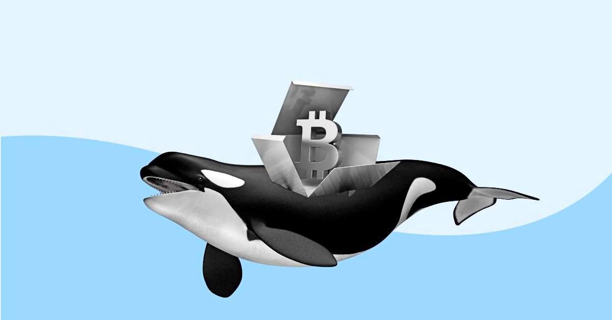 Whales Jump in to Accumulate Bitcoin; Will BTC Price Make It to $65,000 This Week?