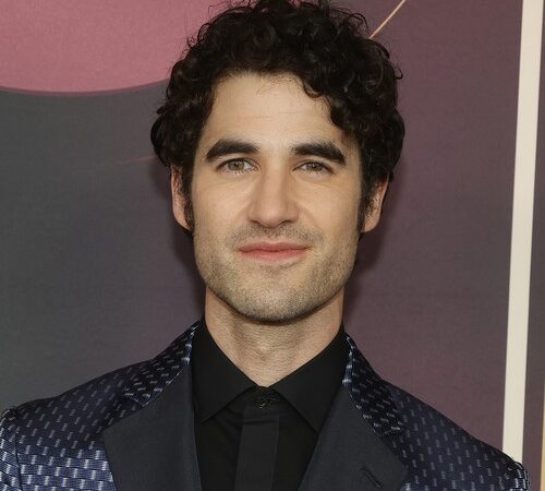 Darren Criss and wife Mia Swier welcome second child