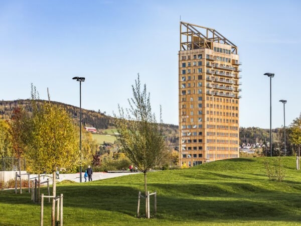 Ikea-style wooden skyscrapers are popping up worldwide thanks to “mass timber”